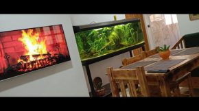 Appartement jinan